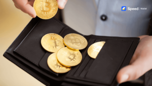 How to select an ideal Bitcoin Wallet