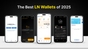 Best Bitcoin Wallet 2025 top 5 bitcoin lightning wallets