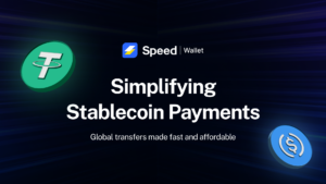 Stablecoin Payments Simplified: Fast, Low-Cost Global Transactions
